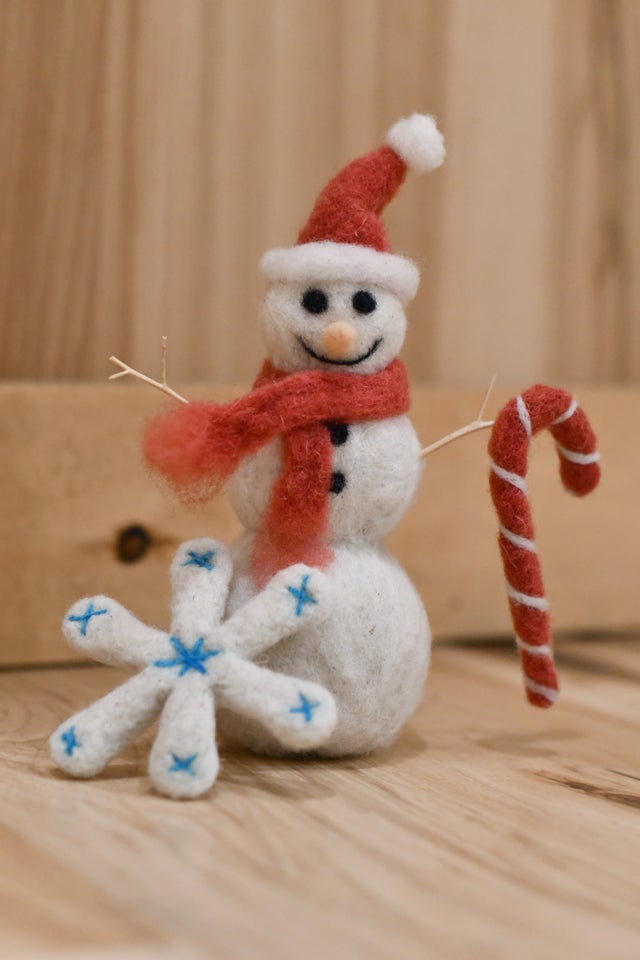 6 packs Wool Felt Kit Needle Felting Roving Poodle Snowman Santa